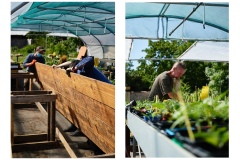 FRANCE - MONTREUIL - SOLIDARITE - JARDIN POUPLIER