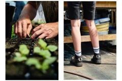 FRANCE - MONTREUIL - SOLIDARITE - JARDIN POUPLIER