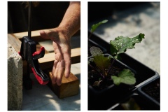 FRANCE - MONTREUIL - SOLIDARITE - JARDIN POUPLIER
