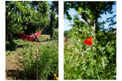 FRANCE - MONTREUIL - SOLIDARITE - JARDIN POUPLIER
