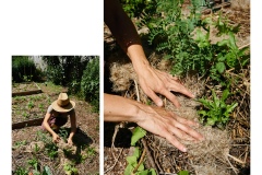 FRANCE - MONTREUIL - SOLIDARITE - JARDIN POUPLIER