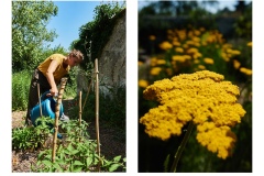 FRANCE - MONTREUIL - SOLIDARITE - JARDIN POUPLIER