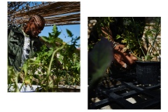 FRANCE - MONTREUIL - SOLIDARITE - JARDIN POUPLIER