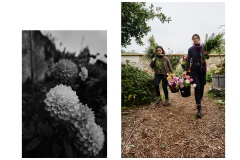 FRANCE - MONTREUIL - SOLIDARITE - JARDIN POUPLIER