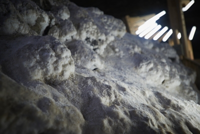 1409_turda_nfr3579