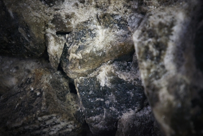 1409_turda_nfr3582