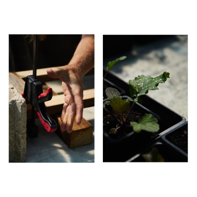 FRANCE - MONTREUIL - SOLIDARITE - JARDIN POUPLIER