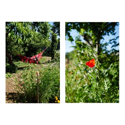 FRANCE - MONTREUIL - SOLIDARITE - JARDIN POUPLIER