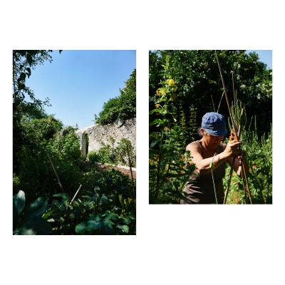 FRANCE - MONTREUIL - SOLIDARITE - JARDIN POUPLIER