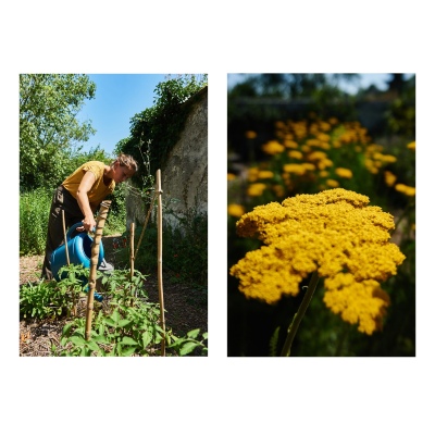 FRANCE - MONTREUIL - SOLIDARITE - JARDIN POUPLIER