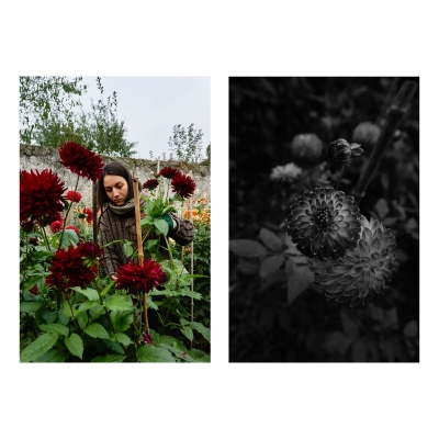 FRANCE - MONTREUIL - SOLIDARITE - JARDIN POUPLIER