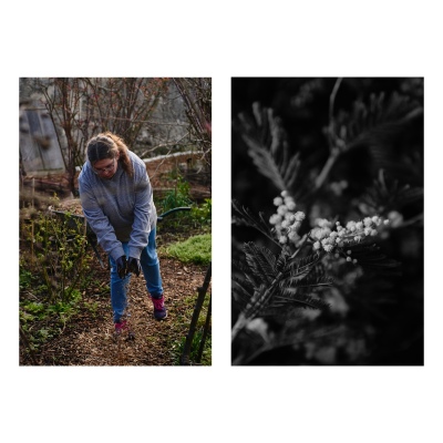 FRANCE - MONTREUIL - SOLIDARITE - JARDIN POUPLIER