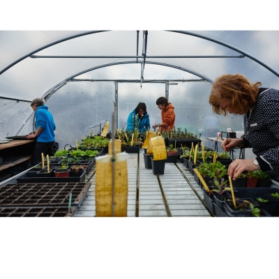 FRANCE - MONTREUIL - SOLIDARITE - JARDIN POUPLIER