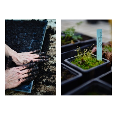 FRANCE - MONTREUIL - SOLIDARITE - JARDIN POUPLIER