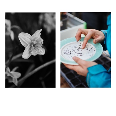 FRANCE - MONTREUIL - SOLIDARITE - JARDIN POUPLIER