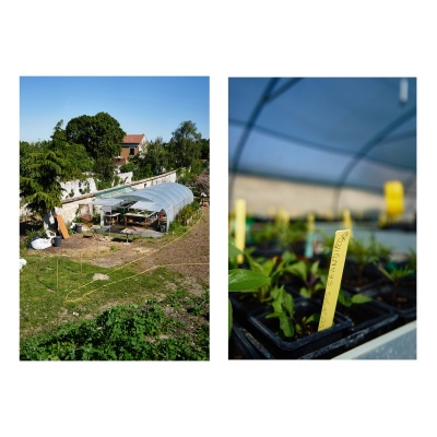 FRANCE - MONTREUIL - SOLIDARITE - JARDIN POUPLIER