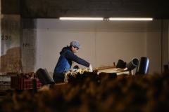 FRANCE- AGRICULTURE - LA CAVERNE - URBAN FARMING