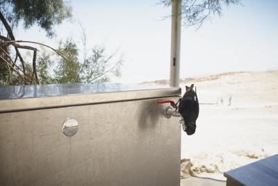 1407_israel_frn0093