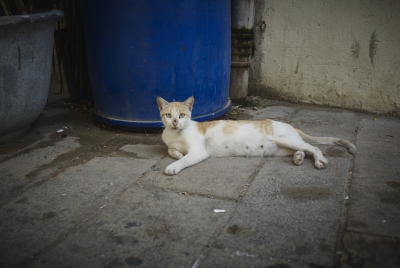 1407_israel_frn0154