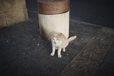 1407_israel_frn0315
