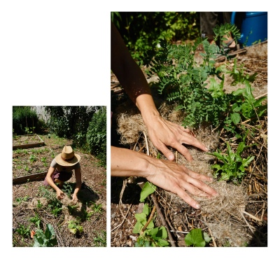 FRANCE - MONTREUIL - SOLIDARITE - JARDIN POUPLIER