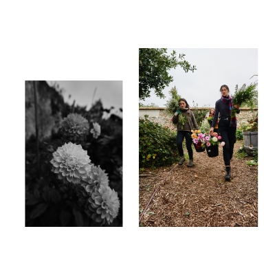 FRANCE - MONTREUIL - SOLIDARITE - JARDIN POUPLIER