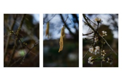 FRANCE - MONTREUIL - SOLIDARITE - JARDIN POUPLIER