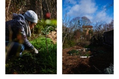 FRANCE - MONTREUIL - SOLIDARITE - JARDIN POUPLIER