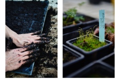 FRANCE - MONTREUIL - SOLIDARITE - JARDIN POUPLIER